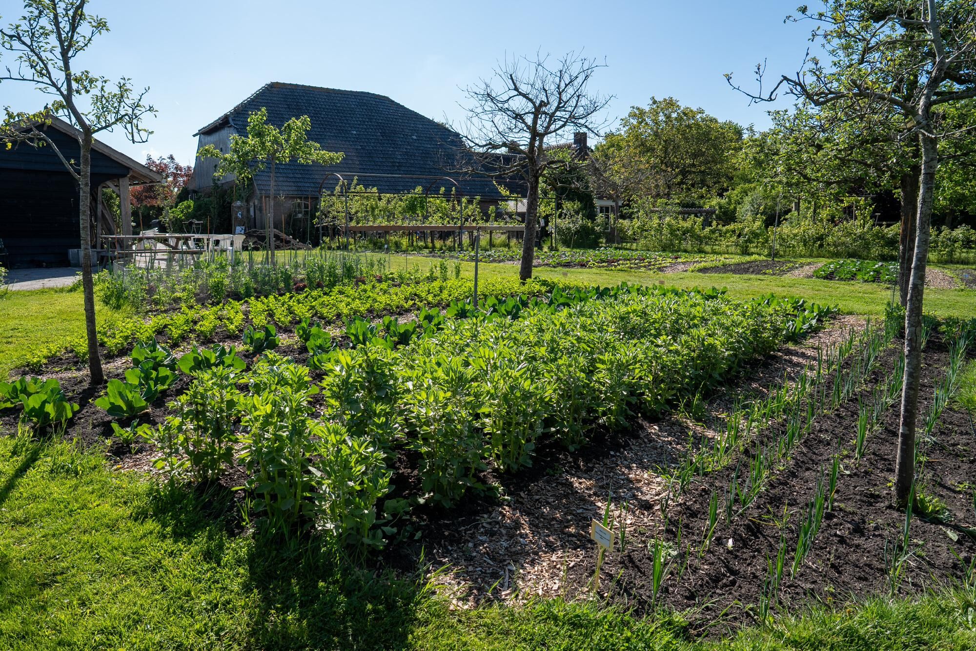 Kleine Groene Helden - Middenbouw groep 4, 5, 6
